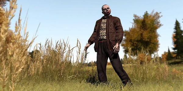 dayz